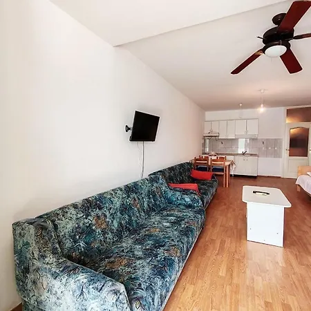 Guest house Viento *